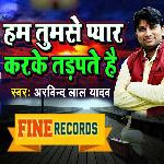 Ham Tumse Pyar Karke Tadpte Hai