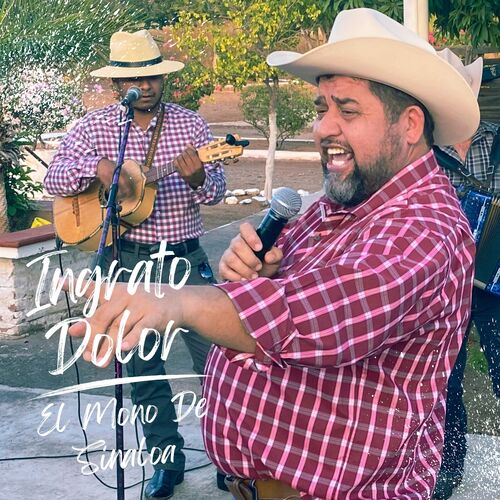 El Peón Caminero cover art