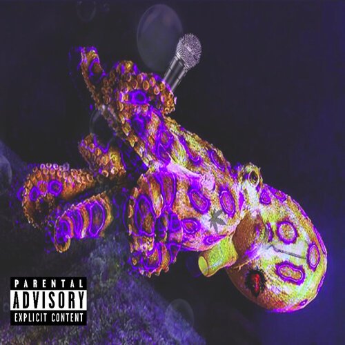 Kozy cover art