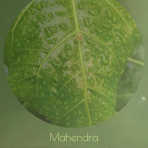 Mahendra cover art