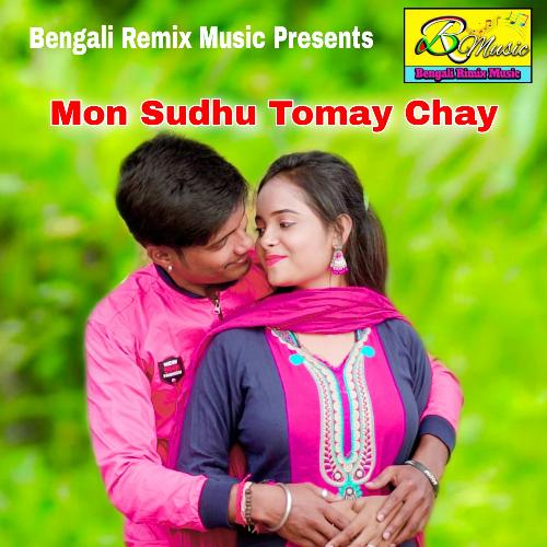 Mon Sudhu Tomay Chay