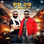 Pb 29 Wale