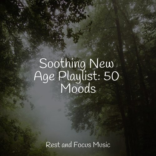 Soothing New Age Playlist: 50 Moods_poster_image