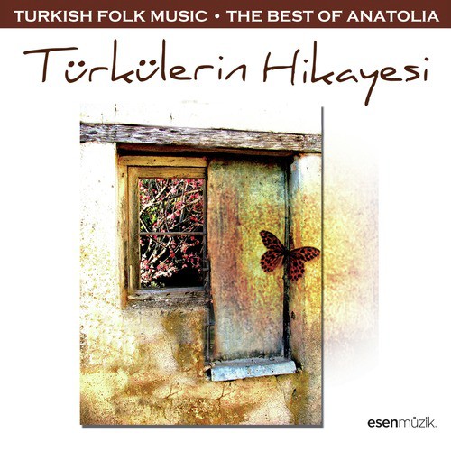 Denizin Üstü Köprüdür cover art