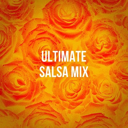 Ultimate Salsa Mix