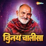 Vinay Chalisa