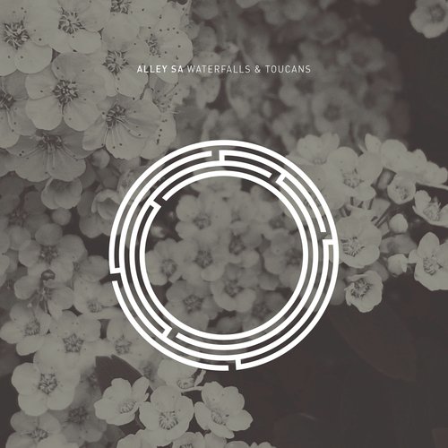 Waterfalls & Toucans