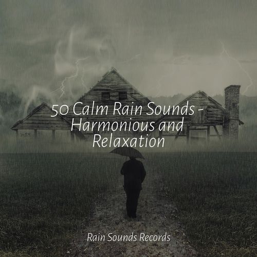 50 Calm Rain Sounds - Harmonious and Relaxation