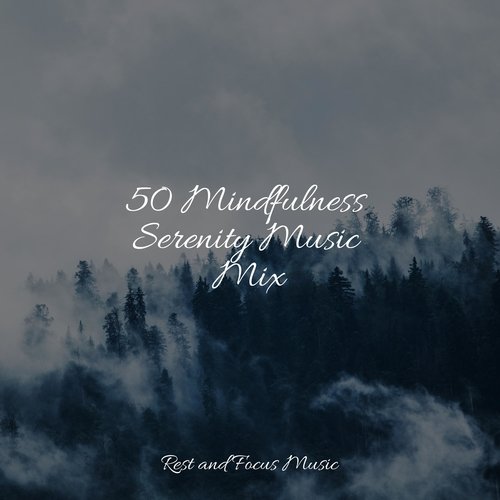 50 Mindfulness Serenity Music Mix_poster_image