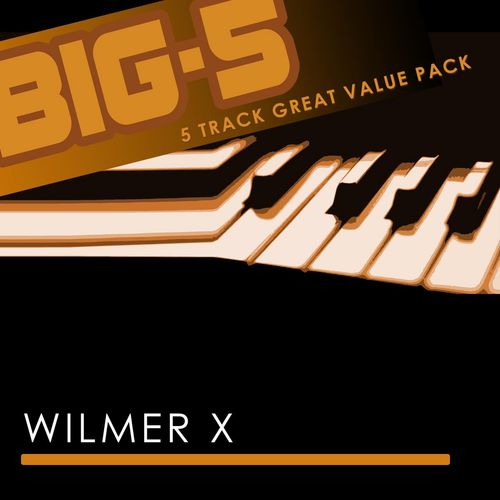 Big-5 : Wilmer X