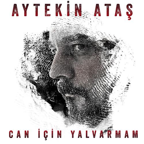 Can İçin Yalvarmam_poster_image