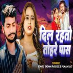 Dil Rahato Tohare Paas