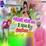 Goraki Bhouji Kara Hai Dhan Ke Ropaniya