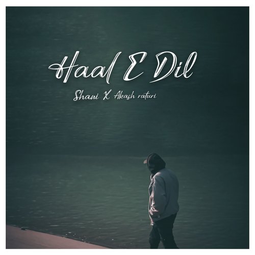 Haal E Dil_poster_image