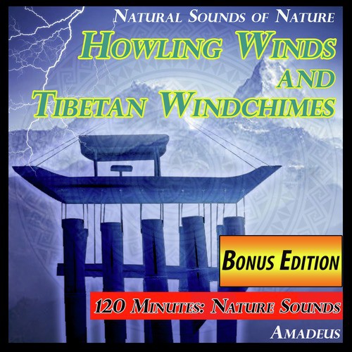 Howling Winds and Tibetan Windchimes: Natural Sounds of Nature: Bonus Edition_poster_image