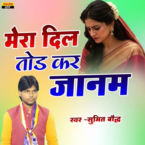 Mera Dil Tod Kar Janam