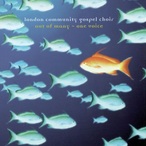Out Of Many - One Voice
