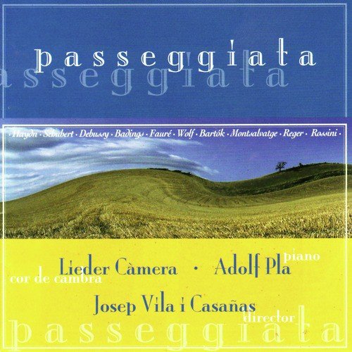 Passeggiata - Hadyn, Schubert, Debussy, Badings, etc