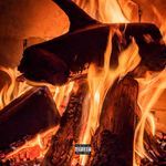 Price of fire