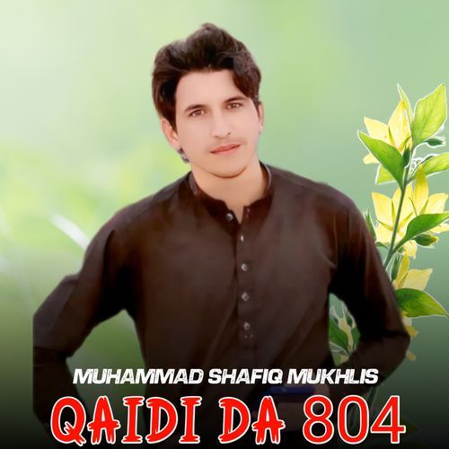 Qaidi Da 804