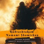 Rudrashtakam Namami Shamishan