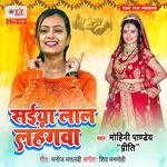 Saiya Lal Lahangwa artwork