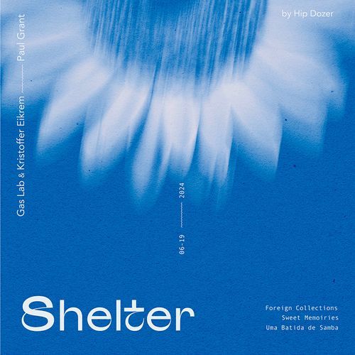 Shelter_poster_image