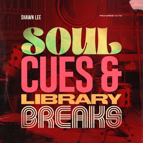 Soul Cues & Library Breaks