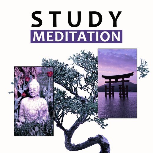 Study Meditation – Brain Stimulation, Background Music for Meditation, Relaxing Music, Meditation Music, New Age