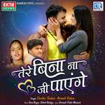 Tere Bina Na Ji Payenge