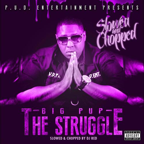 The Struggle (Slowed &amp; Chopped)_poster_image