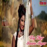 Toy Mor Jaane Jigar