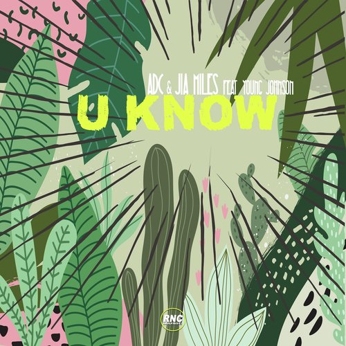 U Know_poster_image