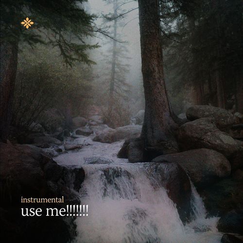 Use Me!!!!!!! (Instrumental)