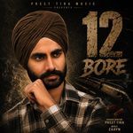 12 Bore