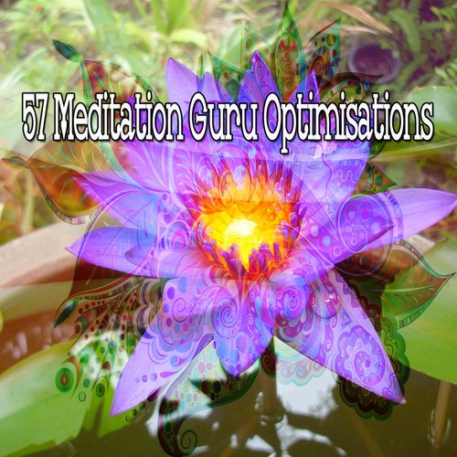 57 Meditation Guru Optimisations_poster_image