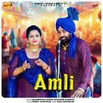 Amli