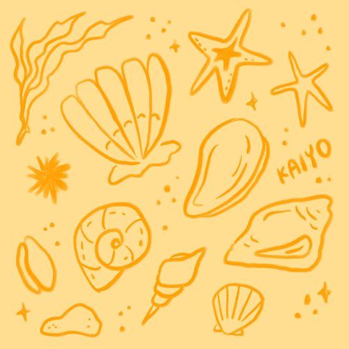 Aurora Shores (Ocean)