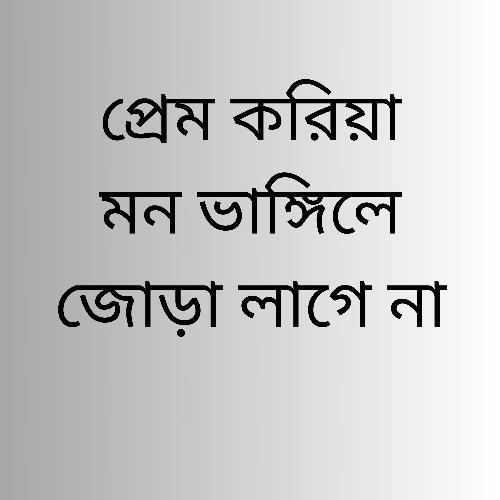 প্রেম করিয়া মন ভাঙ্গিলে জোড়া লাগে না