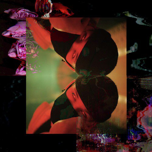 Xanelin. cover art