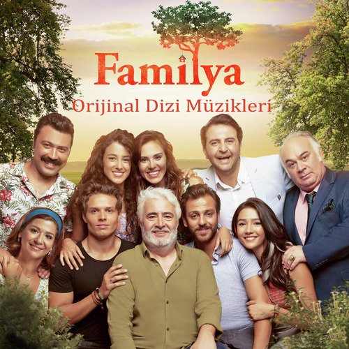 Familya (Orijinal Dizi Müzikleri)_poster_image