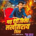 Gar Deto Kila Lakhisarai Jila