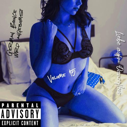 German Bounce Wird Angebumst - Volume 15