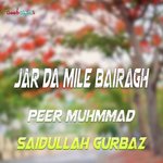 Jar Da Mile Bairagh