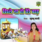 Jhile Na Ho Tere Baad