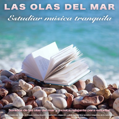 Para la concentración cover art