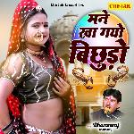 Mane Kha Gayo Bichhudo