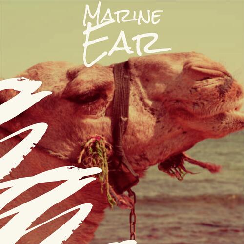 Matthew cover art