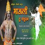 Mauli Tu Pandurang artwork