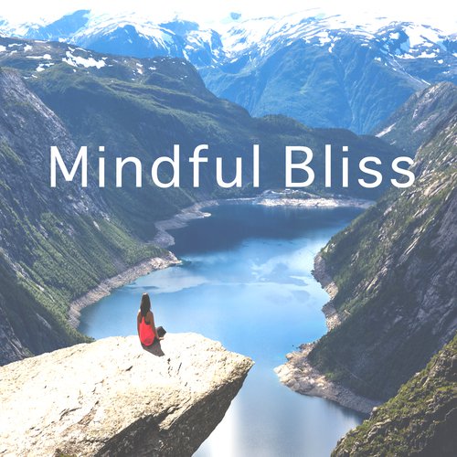 Mindful Bliss_poster_image